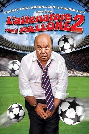 L'allenatore nel pallone 2 poster