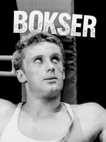 Boxer poster