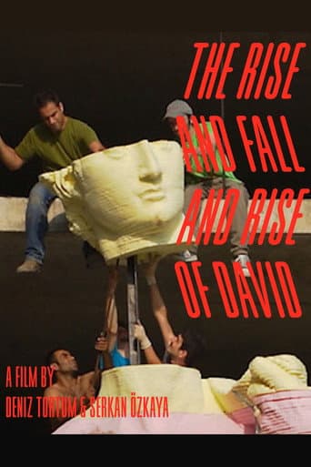 The Rise and Fall and Rise of David poster
