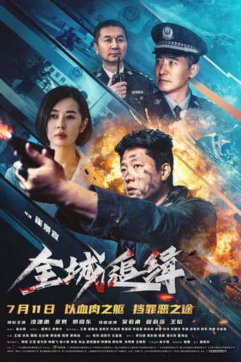 全城追缉 poster