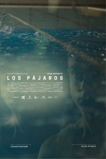 Los pájaros poster