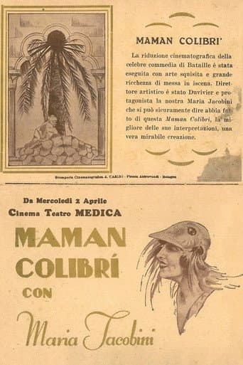 Mother Hummingbird poster