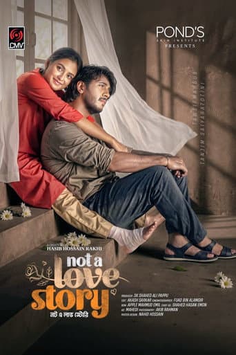 Not A Love Story poster