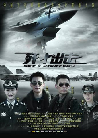 Sky Fighters poster
