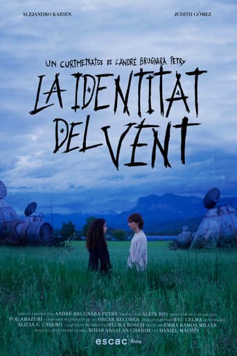 La identitat del vent poster