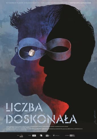 The Perfect Number poster
