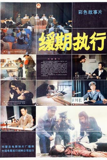 缓期执行 poster
