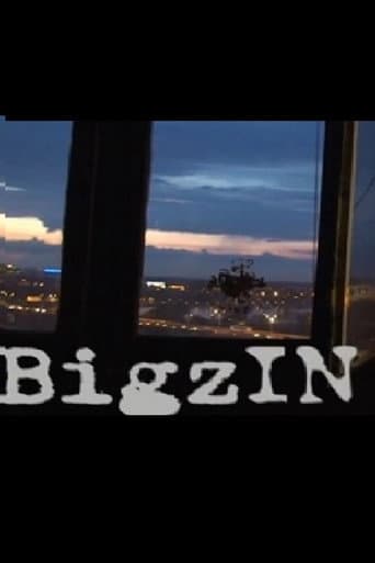 BigzIN poster