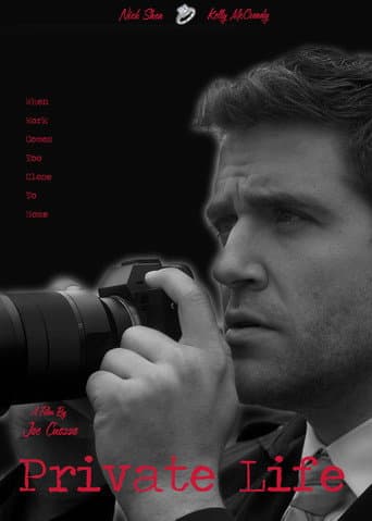 Private Life poster