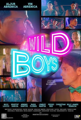 Wild Boys poster