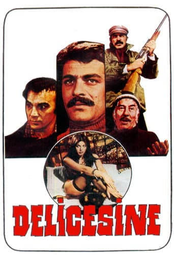 Delicesine poster