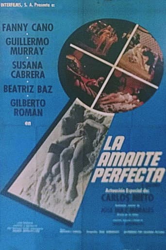 The Perfect Lover poster