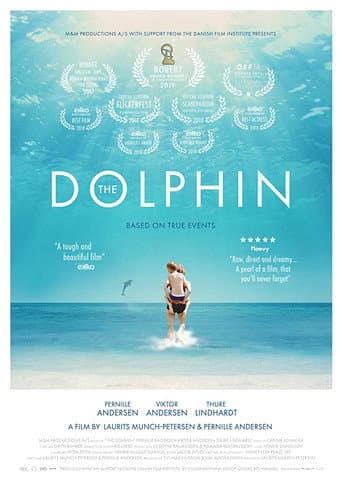 Dolphin poster