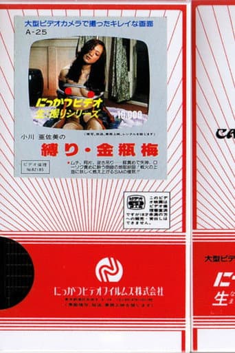 Asami Ogawa's Binding: Jin Ping Mei poster