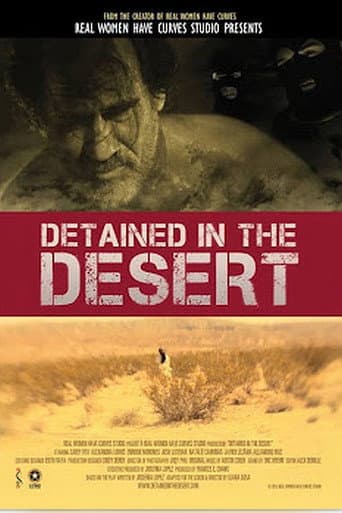 Detained in the Desert poster