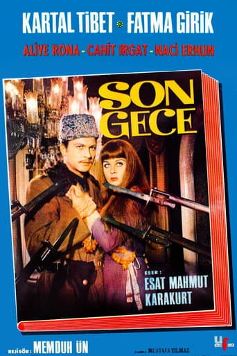 Son Gece poster