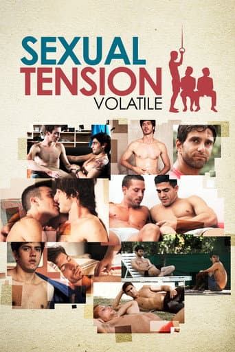 Sexual Tension: Volatile poster