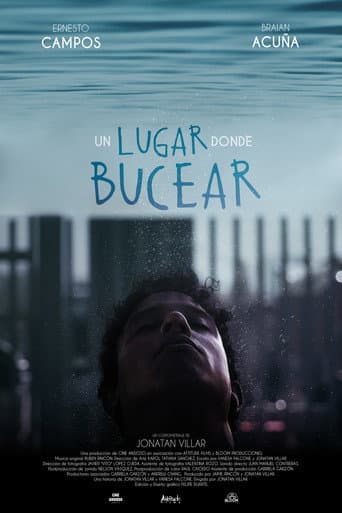 A Place to Dive poster