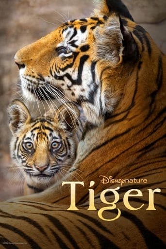 Tiger poster