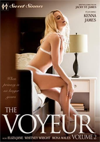 The Voyeur 2 poster