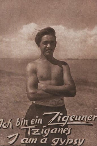 Ich bin ein Zigeuner poster