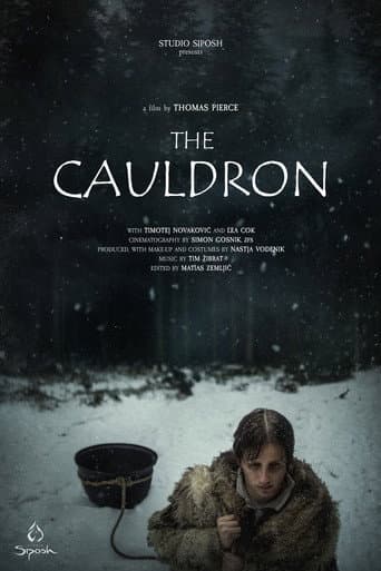 The Cauldron poster