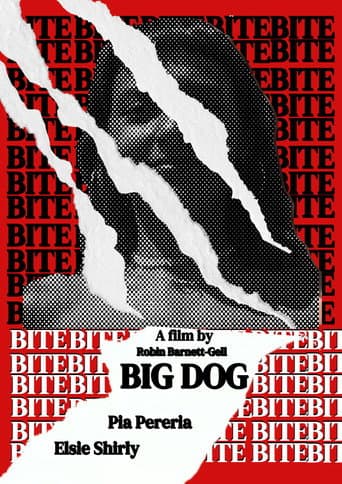 Big Dog poster