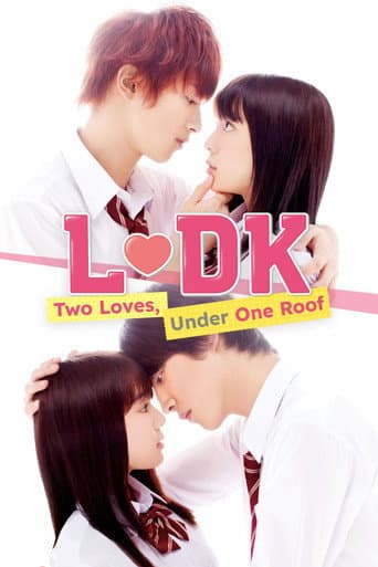 L♡DK: Two Loves Under One Roof poster