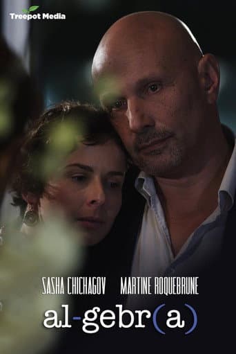 Algebra: A Reunion of Broken Parts poster