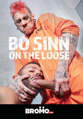 Bo Sinn: On the Loose poster