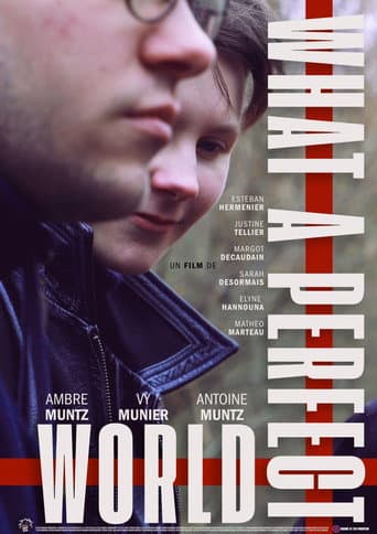 What a Perfect World poster