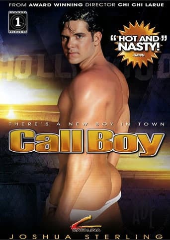 Call Boy poster