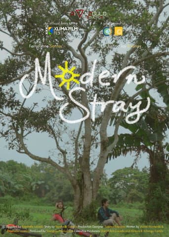 Modern Stray poster