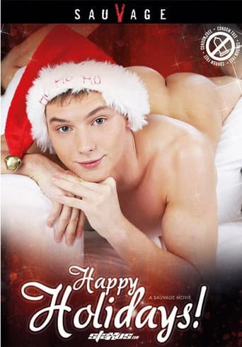 Happy Holidays! poster