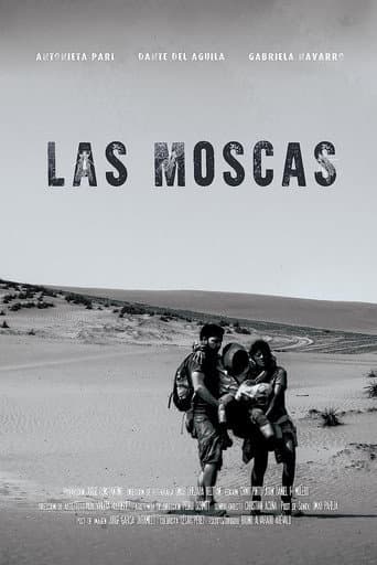 The Flies poster