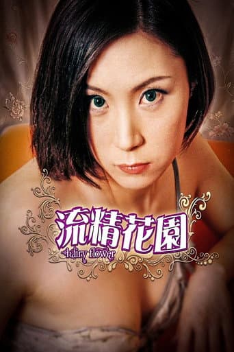 流精花园 poster