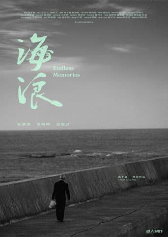 Endless Memories poster
