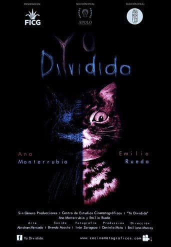Yo Dividido poster