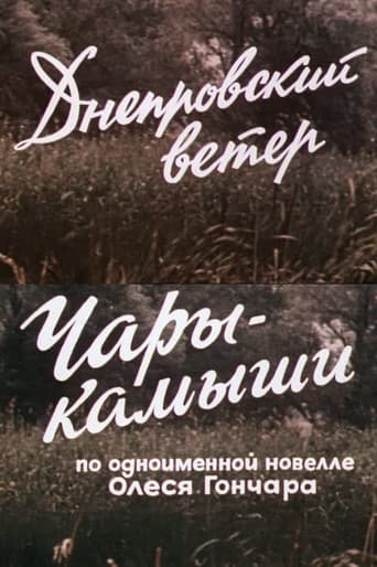 The Dnipro Wind. Enchanted Reeds poster