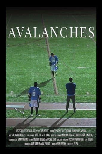 Avalanches poster