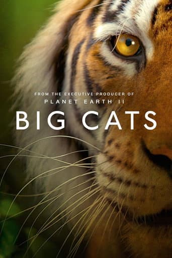 Big Cats poster