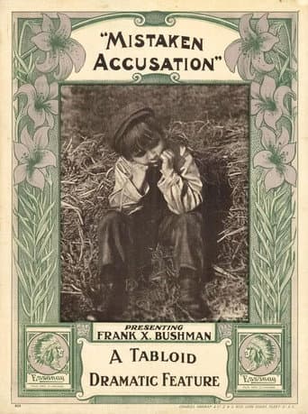 A Mistaken Accusation poster