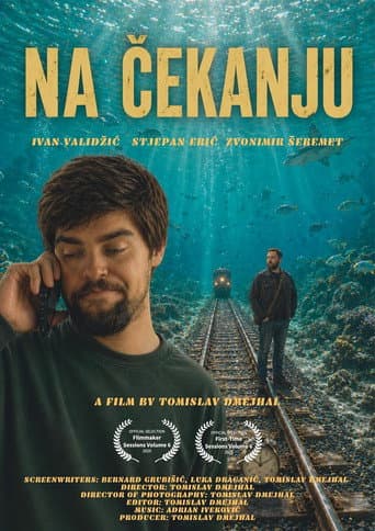 On Hold poster