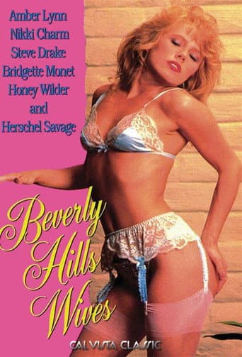 Beverly Hills Wives poster