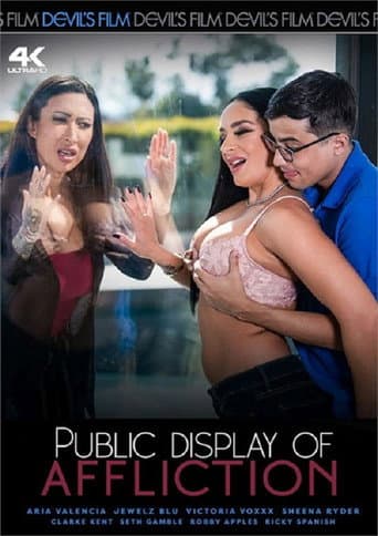 Public Display of Affliction poster