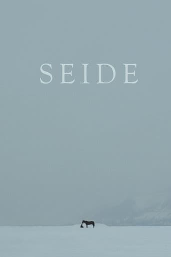Seide poster