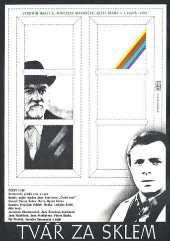 Tvář za sklem poster