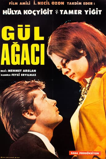 Gül Ağacı poster