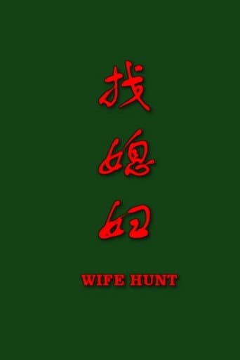找媳妇 poster