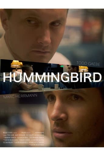 Hummingbird poster